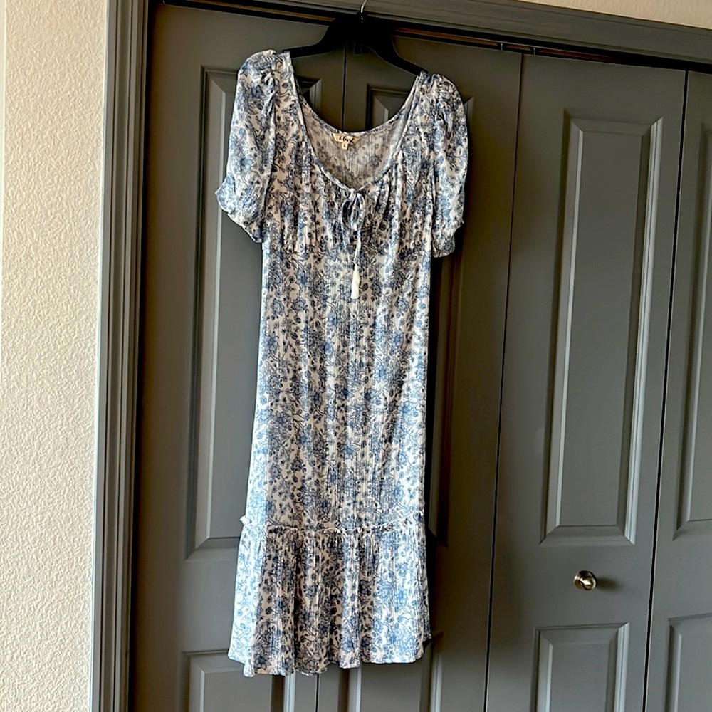 Large Blush dress NWT